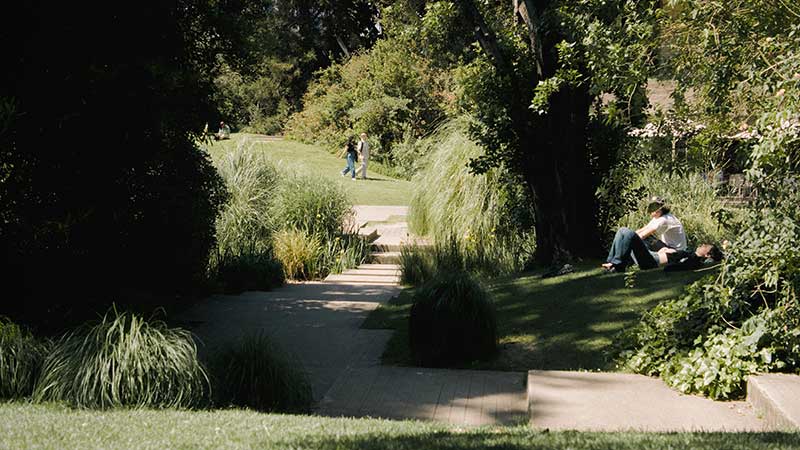 jardin-flou