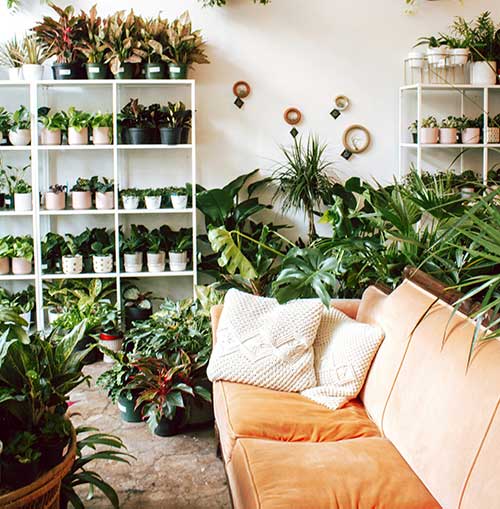 outdoor-living