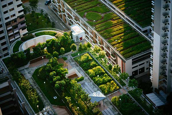 vegetalisation-des-villes